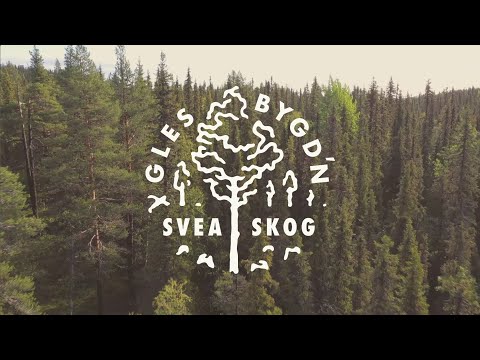Glesbygd'n - Sveaskog