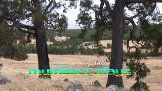 preview picture of video 'Mumbles Boutique Stays - in the south west of Western Australia'