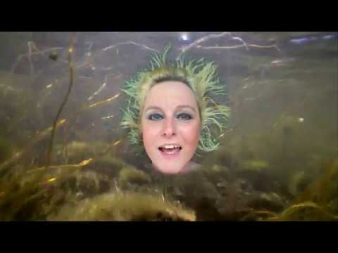 Sophie Rimheden - Morning Light