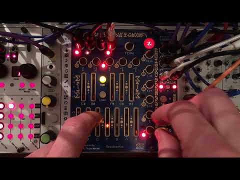 Stochastic + Expander Eurorack inspiration generator from omsonic modular