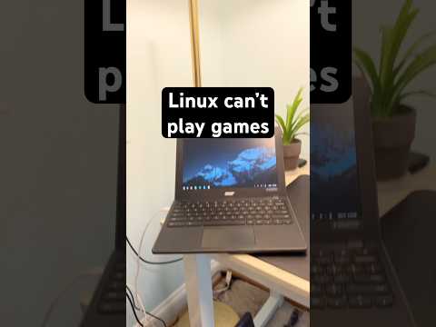 Can Linux play games(online)???? #tech #pc #gaming #linux #techtok #yaptech