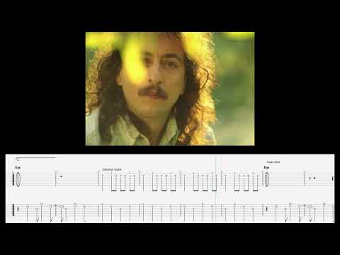 Anlasana - Ilhan Irem
