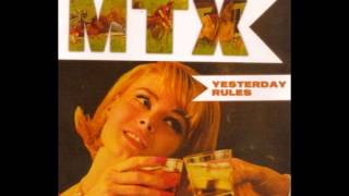 Mr. T Experience - She&#39;s Not A Flower