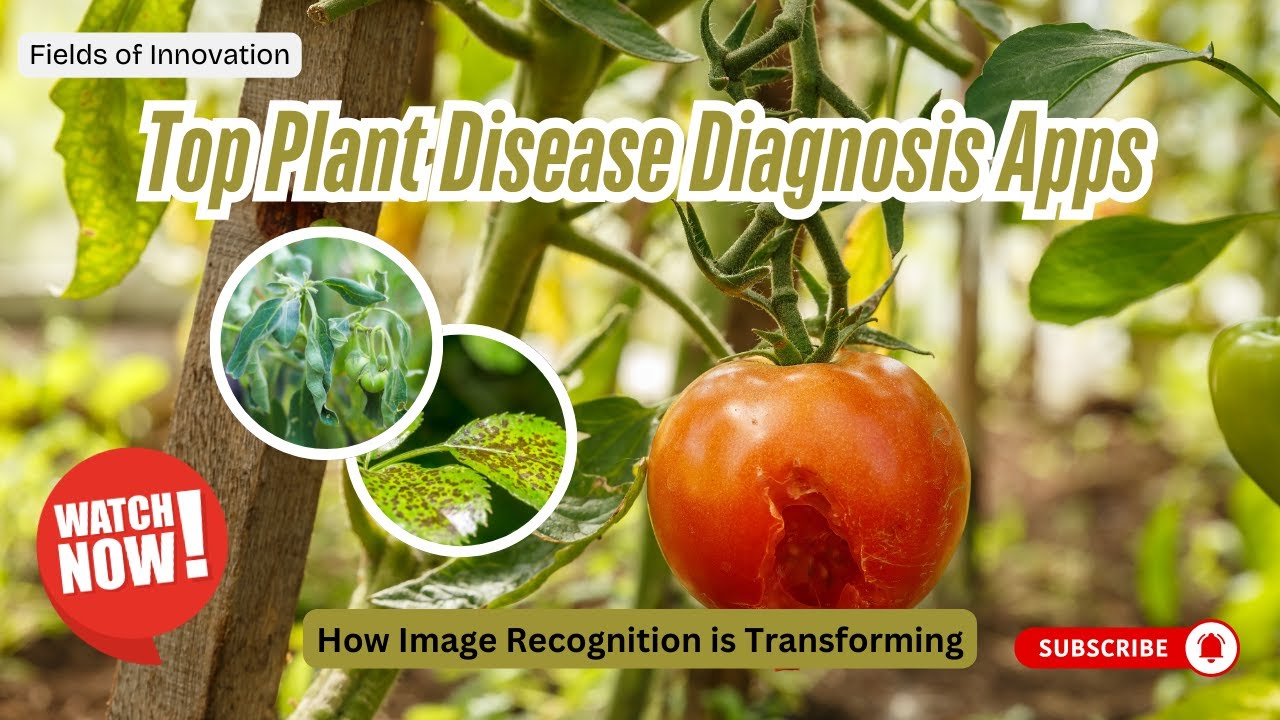 63 - Top Plant Disease Diagnosis Apps 🌱 | How Image Recognition is Transforming Agriculture