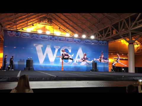 Power Allstars Pride Senior coed 5