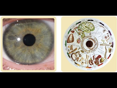 Allerlei Raum für Astrologie  -  Grundlagen der neuen Astromedizin - Webinar mit Mario Kertscher