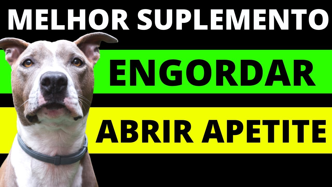 Qual melhor SUPLEMENTO PARA ✅ABRIR APETITE e ✅ENGORDAR CACHORRO