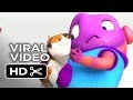 Home VIRAL VIDEO - Cat Dance (2015) - Jim ...
