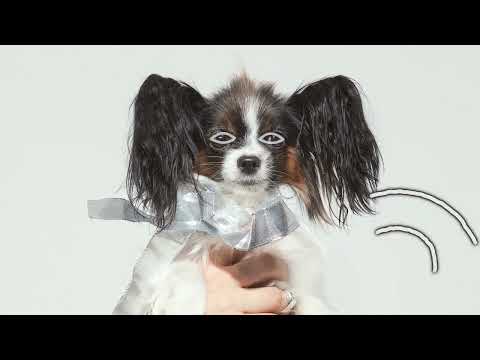 Myra Granberg - Nej tack, det är bra!