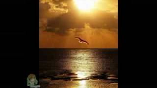 Kudai   Calendario.wmv