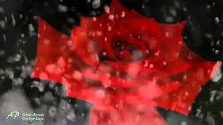 ✿❤✿  OMAR AKRAM - Echoes of Love ✿❤✿  Rejoice