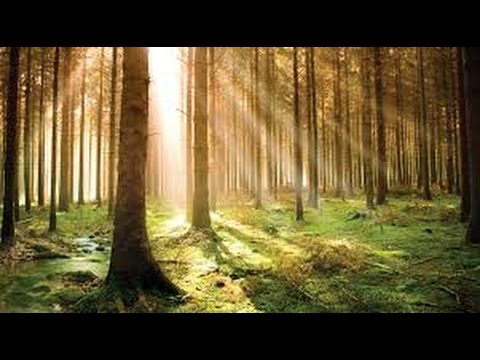 Country Dedows  - Pohoda