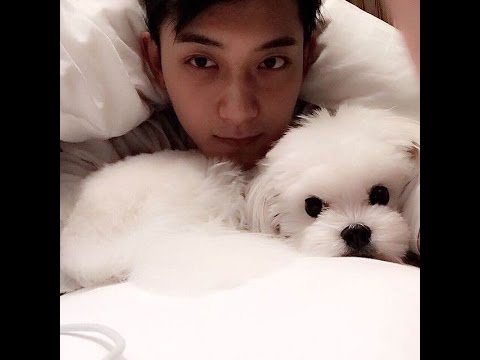 【LUNCHBOX】151110 ZTAO Tencent live chat part.1