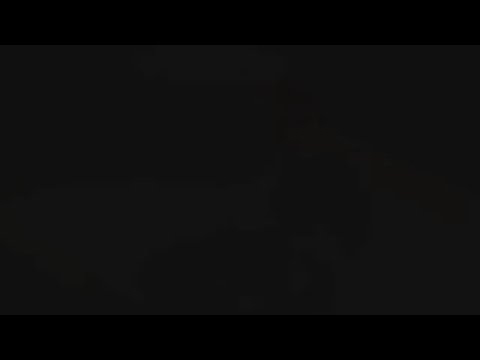 The Army's Graphic Designers (25M Multimedia Illustrator)