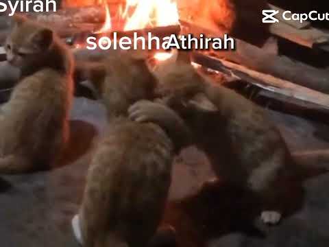 kawan gaduh aku sekarang Athirah😊😊.