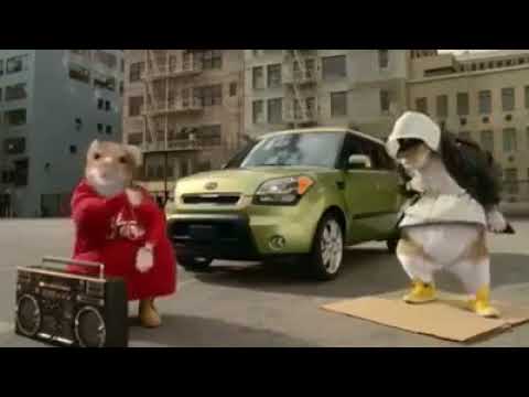 EL CUYCITO - EL GUAICOSO