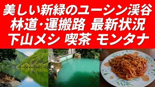 【丹沢の秘境】新緑のユーシン渓谷 2025年5月3日 ユーシンブルー・玄倉ダム～熊木沢出合 林道の最新状況・塔ノ岳 西尾根取り付き 迂回路探索状況・下山メシ 新松田駅 喫茶 モンタナ