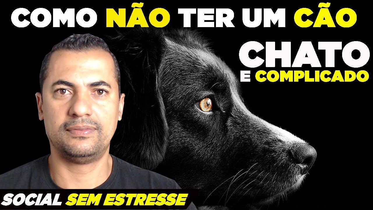 ADAPTANDO CÃES AO MUNDO - FAÇA ISSO E NÃO SOFRERÁS