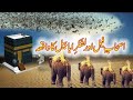 Surah Al Feel Aur Hathi Walo Ka Kissa