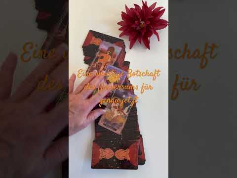 An important message from the universe for right now. Earth Woman Tarot, Tarn Ellis