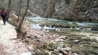 preview picture of video 'Vintgar Gorge, Slovenia'