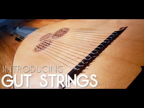 Introducing: Gut Strings