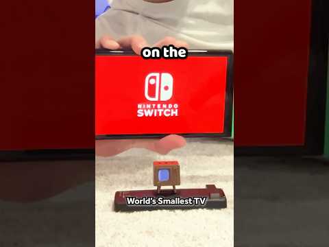 Nintendo Switch On World's Smallest TV?