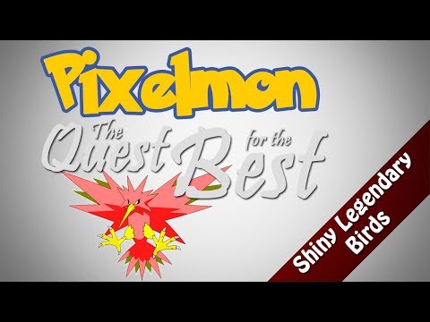 Flaming Zapdos?! - The Quest for the Best (Shiny Legendary Birds)