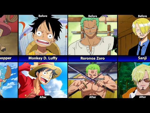 One Piece's Characters Before And After Time Skip