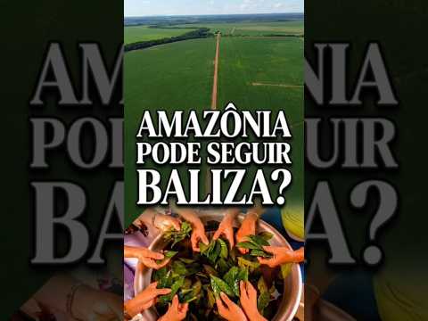 AMAZÔNIA PODE SEGUIR BALIZA?