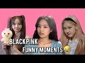 BLACKPINK Funny Moments TikTok Compilation Try Not To Laugh Challenge Part 3