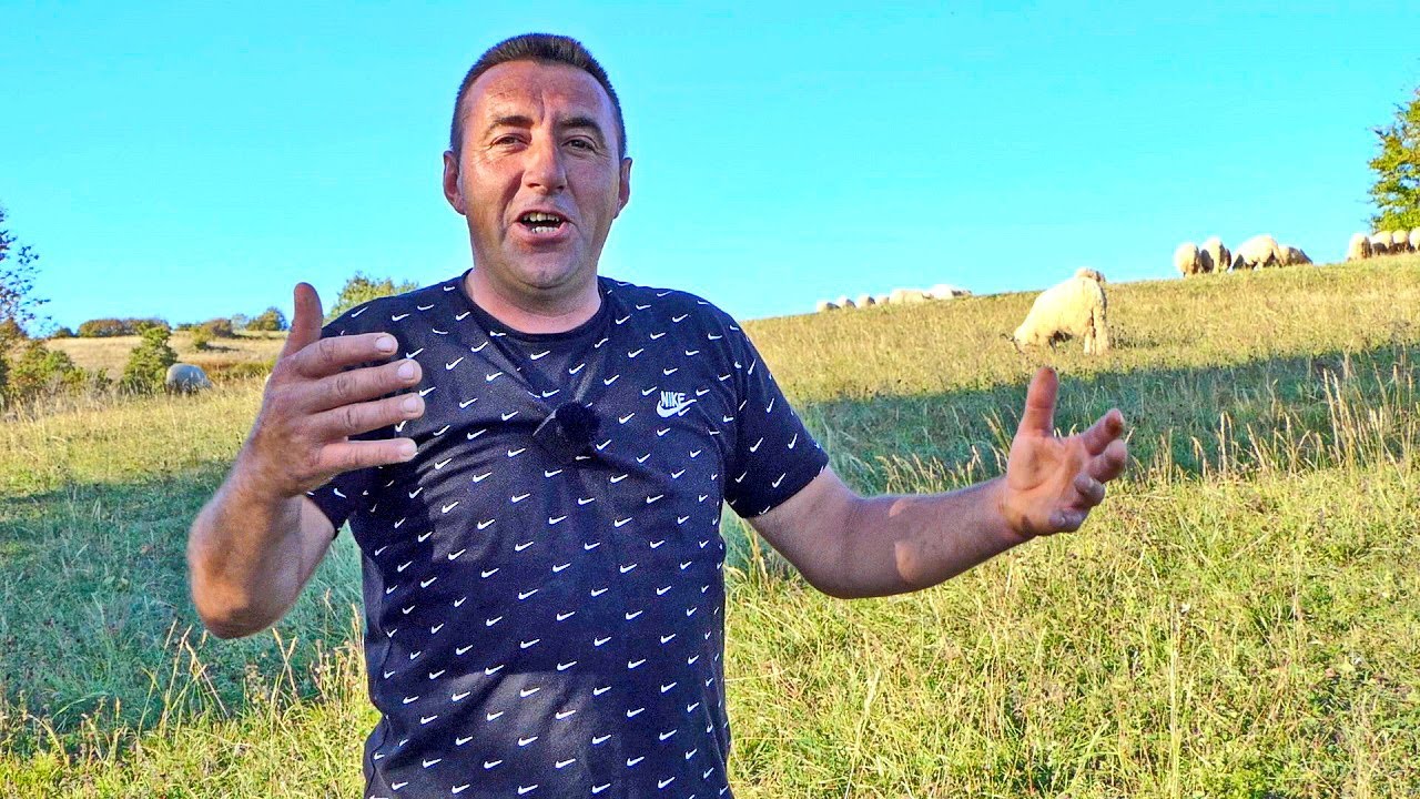 ‘Ovo ako ima iko evo mu sve i ovce i krave’