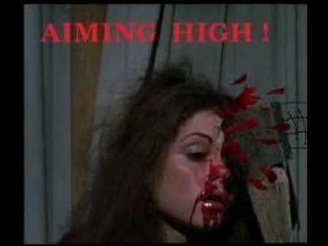 Accept - Aiming High interpretation