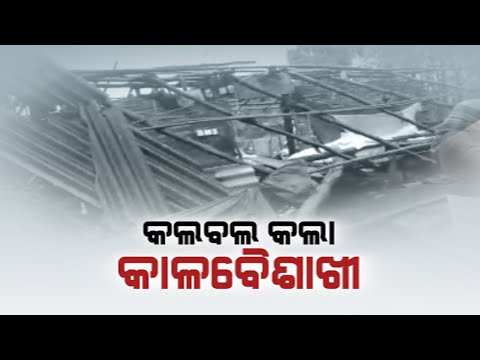 Western Monsoon Curses Farmer, As Toil Hard Cultivation Spoils Farmers Crop In Odisha