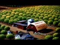 Chip And Dale Donald Duck Cartoon Full Episodes 3 Full Movie Compilation