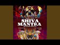 Shiva Mantra (Om Namah Shivaya)