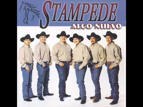 Stampede - Cuando.wmv