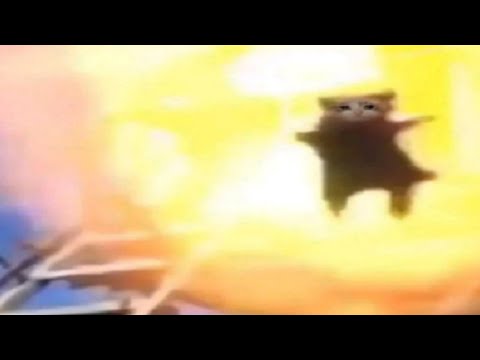 1 Minute of Flying Cats