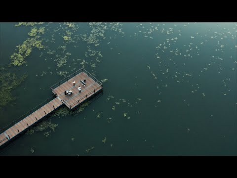 Colours in the Street - Long Enough (Official Video)