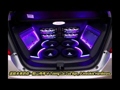 送给未来的你 - 阳山伟伟 Vì Tương Lai Của Bạn_ DJnelzkie Hardbeats