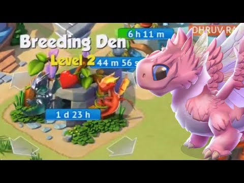 We Bred the Legendary FAIRY DRAGON Live!? DML Livestream Highlight