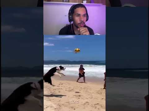 O Cachorro de Cada Jogador