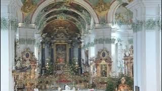 Pontifikalamt am Hochfest des Hl. Gallus, Donnerstag, 16. Oktober 2025, 10.00 Uh