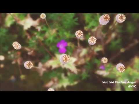 download lagu mp3 mp4 Trnans Visa Text, download lagu Trnans Visa Text gratis, unduh video klip Trnans Visa Text