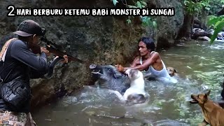 Download lagu LARGE PIGS STRIKE IN RIVER | Hunters desperately catch fanged pigs with their bare hands | Amazing | mp3