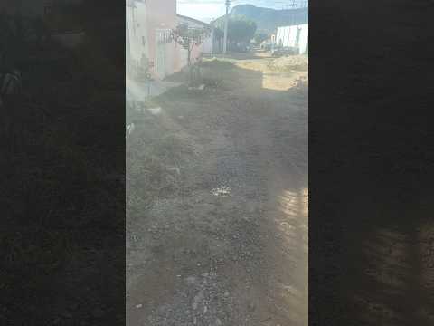 descompromisso dos prefeitos, com a gestão pública,  Parelhas - RN