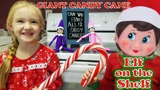 Purple &amp; Pink Elf on the Shelf - Giant Candy Cane Scavenger Hunt! Day 3