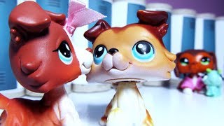 Littlest Pet Shop: Popular (Episode #22: Keep an Eye on Your Boy)