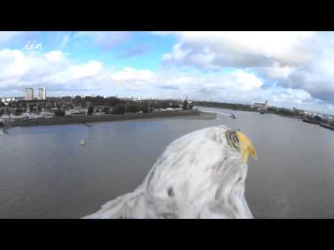 download lagu mp3 mp4 Arend, download lagu Arend gratis, unduh video klip Download Arend Mp3 dan Mp4 Music Online Gratis