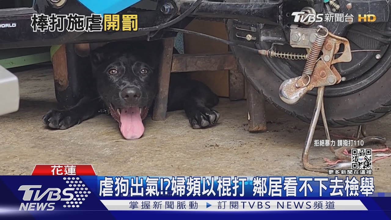 虐狗出氣!?婦頻以棍打 鄰居看不下去檢舉
